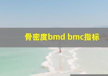 骨密度bmd bmc指标